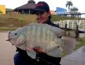 guilherme-alvarez-e-tilapia-3