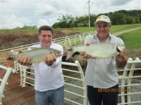 PESCA NO LAGO